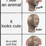 Panik Kalm Panik Meme | I see an animal; it looks cute; its a wild wolf that wants to eat me | image tagged in memes,panik kalm panik,funny | made w/ Imgflip meme maker