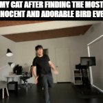 Why such violence ? | MY CAT AFTER FINDING THE MOST INNOCENT AND ADORABLE BIRD EVER | image tagged in gifs,markiplier | made w/ Imgflip video-to-gif maker