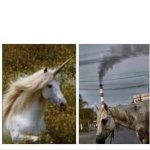 before & after unicorn