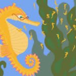 male seahorse