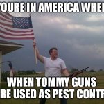 American flag shotgun guy | YOURE IN AMERICA WHEN; WHEN TOMMY GUNS WERE USED AS PEST CONTROL | image tagged in american flag shotgun guy | made w/ Imgflip meme maker