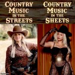 Beyonce Country Music Meme | image tagged in beyonce country music meme | made w/ Imgflip meme maker