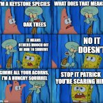 Biology Humor | I'M A KEYSTONE SPECIES; WHAT DOES THAT MEAN? OAK TREES; NO IT DOESN'T; IT MEANS OTHERS MOOCH OFF OF HIM TO SURVIVE; GIMME ALL YOUR ACORNS,  I'M A HUNGRY SQUIRREL; STOP IT PATRICK YOU'RE SCARING HIM | image tagged in stop it patrick you're scaring him | made w/ Imgflip meme maker