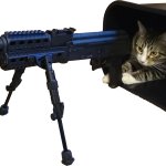 Defense Cat