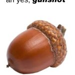 LMAO | gunshot; ah yes, | image tagged in acorn,cops,funny memes | made w/ Imgflip meme maker