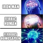 Expanding brain 3 panels | IRON MAN; FERRIC HUMAN; FERROUS HOMOSAPIEN | image tagged in expanding brain 3 panels | made w/ Imgflip meme maker