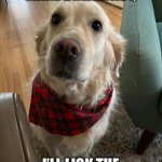 Adorable Golden Retriever | SO, IF YOU MAKE BREAKFAST, I’LL LICK THE DISHES CLEAN. DEAL? | image tagged in adorable golden retriever | made w/ Imgflip meme maker