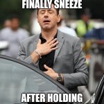 Biggest pain in our body. Now gone | WHEN YOU FINALLY SNEEZE; AFTER HOLDING IT IN FOR TOO LONG | image tagged in memes,robert downey jr,sneeze | made w/ Imgflip meme maker