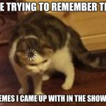 Loading cat | ME TRYING TO REMEMBER THE; MEMES I CAME UP WITH IN THE SHOWER | image tagged in loading cat | made w/ Imgflip meme maker