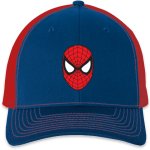 Spider-Man Hat 2