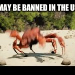 Look it up | TIKTOK MAY BE BANNED IN THE US SOON! | image tagged in gifs,tiktok | made w/ Imgflip video-to-gif maker