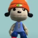 Parappa sackboy