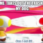 Now I have to clean it | MY DOG:; ME: TAKES OUT THE TRASH | image tagged in can i eat it,fun,memes | made w/ Imgflip meme maker