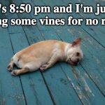 And I'm bored at the same time.... lol | It's 8:50 pm and I'm just watching some vines for no reason... | image tagged in tired dog,night | made w/ Imgflip meme maker