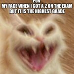 jijijija | POV 
MY FACE WHEN I GOT A 2 ON THE EXAM BUT IT IS THE HIGHEST GRADE | image tagged in xd | made w/ Imgflip meme maker