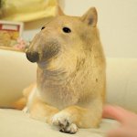 Ugly | image tagged in memes,doge 2 | made w/ Imgflip meme maker