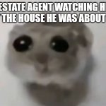 womp womp | THE REAL ESTATE AGENT WATCHING HELPLESSLY AS I EAT THE HOUSE HE WAS ABOUT TO SELL | image tagged in sad hamster | made w/ Imgflip meme maker