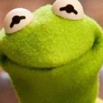 kermit smile