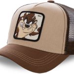 Taz Hat