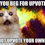 WHAAAAAT | IF YOU BEG FOR UPVOTES; WHY NOT UPVOTE YOUR OWN MEME | image tagged in mind blown cat | made w/ Imgflip meme maker