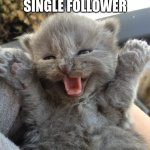 :) | I HAVE A SINGLE FOLLOWER; YAY! | image tagged in yay kitty,good vibes | made w/ Imgflip meme maker