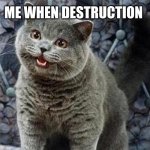 I can has cheezburger cat | ME WHEN DESTRUCTION | image tagged in i can has cheezburger cat,adhd | made w/ Imgflip meme maker