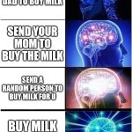 meme about M I L K | SEND YOUR DAD TO BUY MILK; SEND YOUR MOM TO BUY THE MILK; SEND A RANDOM PERSON TO BUY MILK FOR U; BUY MILK YOURSELF | image tagged in memes,expanding brain | made w/ Imgflip meme maker