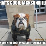 Your New Dog! | WHAT'S GOOD, JACKSONVILLE!? HE IS YOUR NEW DOG!  WHAT ARE YOU NAMING HIM? | image tagged in jacksonville nc police dog,bulldog,cute dog | made w/ Imgflip meme maker