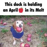 This dock is holding an April? in its Melt meme