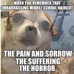 The ultimate shame | WHEN YOU REMEMBER THAT EMBARRASSING MIDDLE SCHOOL HAIRCUT; THE PAIN AND SORROW; THE SUFFERING; THE HORROR | image tagged in ptsd chihuahua | made w/ Imgflip meme maker