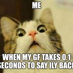 Scared Cat | ME; WHEN MY GF TAKES 0.1 SECONDS TO SAY ILY BACK | image tagged in memes,scared cat | made w/ Imgflip meme maker