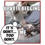 *we are safe, for now!* | UPVOTE BEGGING; ME | image tagged in it s quiet too quiet cats | made w/ Imgflip meme maker