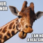 Humans aren't this handsome | YOUR HONOR; I AM NOT A REAL GIRAFFE | image tagged in comeback giraffe,courtroom,memes,lawyer,mistaken identity,filters | made w/ Imgflip meme maker