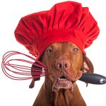 a dog wearing a chef's hat with a confused expression