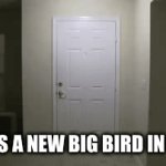 IM THE BIGGEST BIRD | THERE’S A NEW BIG BIRD IN TOWN. | image tagged in gifs,big bird | made w/ Imgflip video-to-gif maker