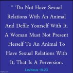 do not have sexual relations with an animal