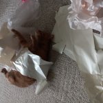 Cat fighting wrapping paper