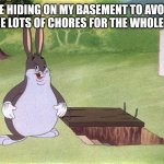 Big Chungus | ME HIDING ON MY BASEMENT TO AVOID SOME LOTS OF CHORES FOR THE WHOLE DAY | image tagged in big chungus | made w/ Imgflip meme maker