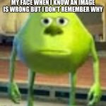 It's called a "Mandela Effect" and a good example is Sully Wazowski | MY FACE WHEN I KNOW AN IMAGE IS WRONG BUT I DON'T REMEMBER WHY | image tagged in sully wazowski | made w/ Imgflip meme maker
