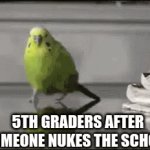 5th grader runing from nuke | 5TH GRADERS AFTER SOMEONE NUKES THE SCHOOL | image tagged in gifs,nuke,school,explosion,nuclear explosion,nukes | made w/ Imgflip video-to-gif maker