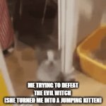 lend me your energy! | ME TRYING TO DEFEAT THE EVIL WITCH 
(SHE TURNED ME INTO A JUMPING KITTEN) | image tagged in gifs,cat,cats | made w/ Imgflip video-to-gif maker