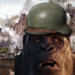 Thousand yard stare Kong