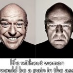lol! | life without women would be a pain in the ass | image tagged in breaking bad smile frown,memes,funny,gifs,offensive,homosexual | made w/ Imgflip meme maker