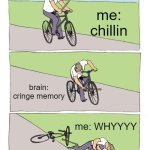 happens | me: chillin; brain: cringe memory; me: WHYYYY | image tagged in memes,bike fall | made w/ Imgflip meme maker