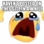Ok | HAVEN’T POSTED ON THIS SITE IN A WHILE | image tagged in cursed crying emoji | made w/ Imgflip meme maker