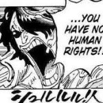 You have no human rights