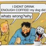WHAT A WEEK WITH MAH DAWG | I DIDNT DRINK ENOUGH COFFEE! my dog did; whats wrong?why | image tagged in what a week huh,coffee addict,dog,crazy,fun | made w/ Imgflip meme maker