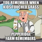 Pepperidge Farm Remembers Meme | YOU REMEMBER WHEN KIDS TOUCHED GRASS; PEPPERIDGE FARM REMEMBERS | image tagged in memes,pepperidge farm remembers | made w/ Imgflip meme maker