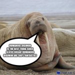 The Walrus of wisdom loves Humanoid Digimon | HUMANOID DIGIMON IS THE BEST THING SINCE SLICED BREAD! HUMANOID DIGIMON ARE 100% FANTASTIC! | image tagged in walrus | made w/ Imgflip meme maker