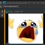 Permabanned meme